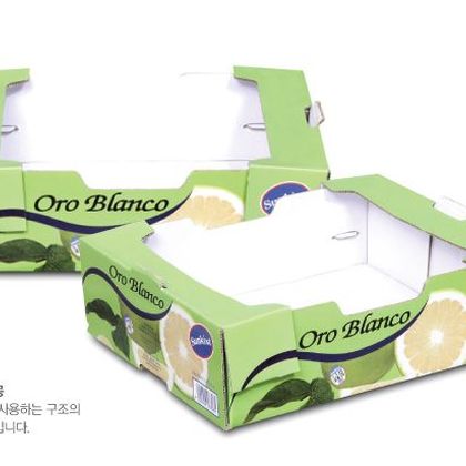 오픈형패키지 021