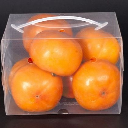 스마트 워싱팩 wp-001