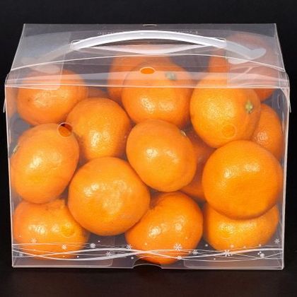 스마트 워싱팩 wp-003