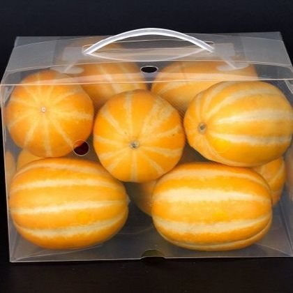 스마트 워싱팩 wp-005