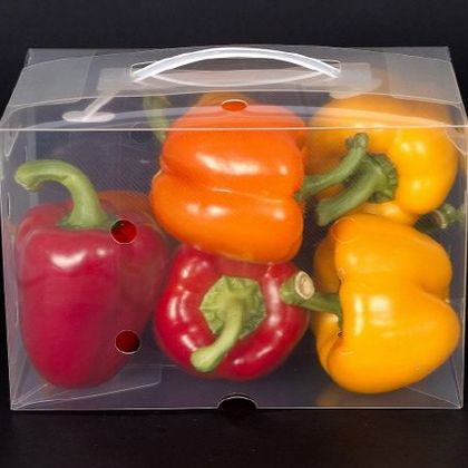 스마트 워싱팩 wp-007