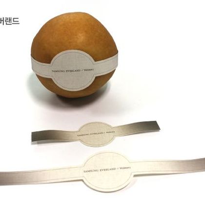 스마트밴드 sb-005