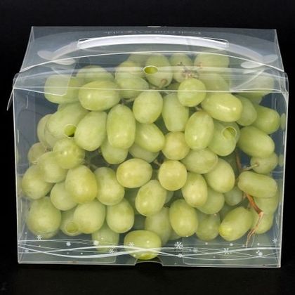 스마트 워싱팩 wp-028